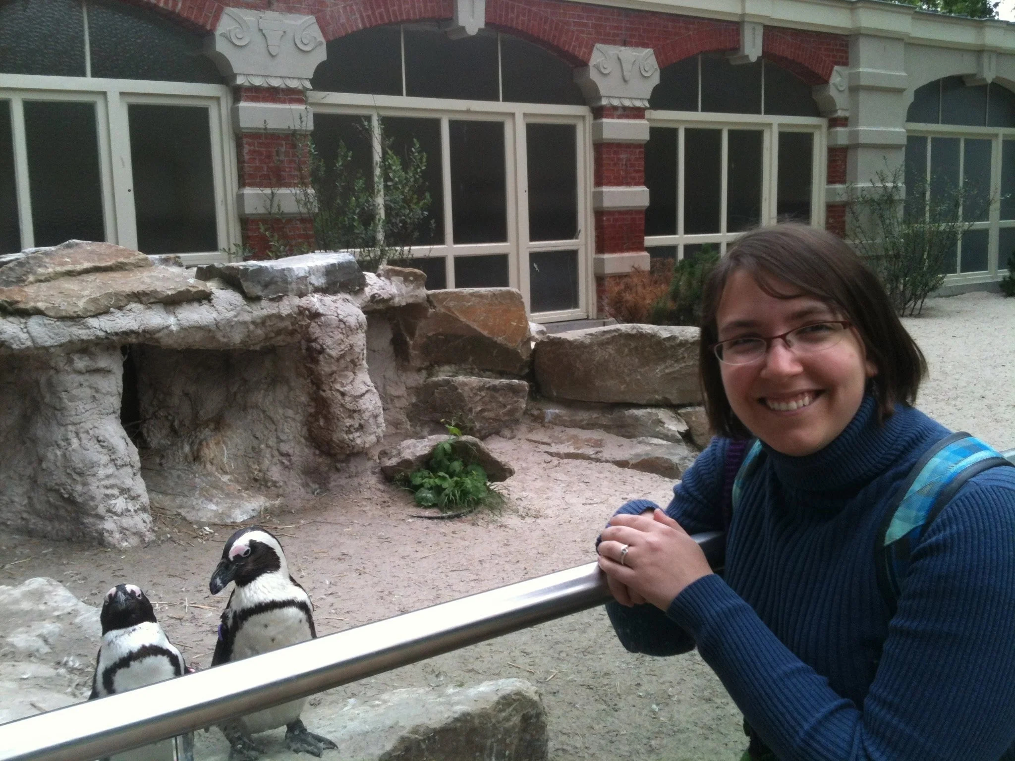 This is me in Antwerp with some penguins.